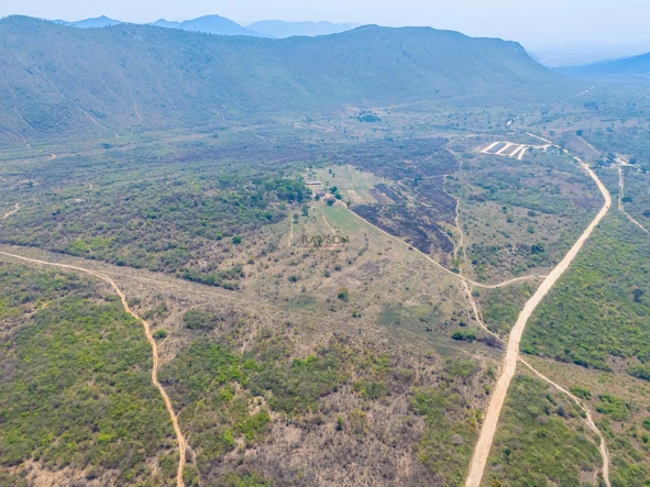 Farm & Agricultural Land