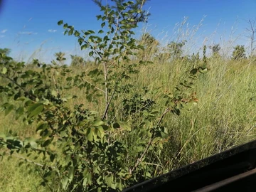 Farm & Agricultural Land