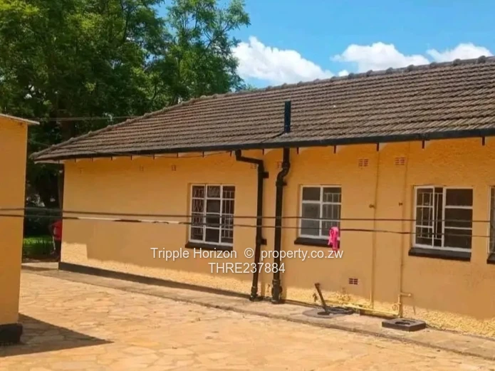 Investment Opportunity 