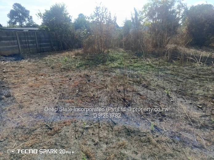 Mabelreign stand for sale 