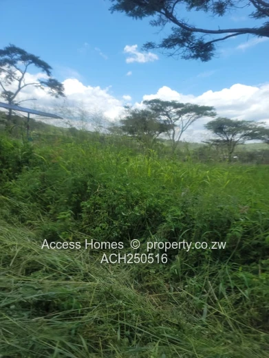 Glenforest agro residential plot 