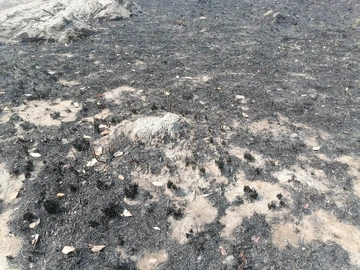 Farm & Agricultural Land