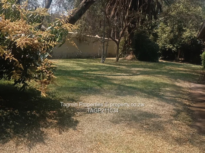 House (suitable) for Office use for sale in Eastlea (Boundary lane)