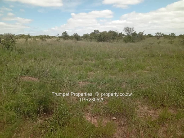 7ha Mhangura Farm — Open Grassland & Scattered Trees (Sole Mandate)