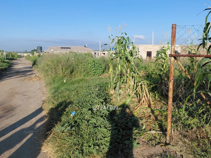 Waterfalls Retreat Cottage