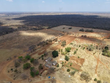 Farm & Agricultural Land