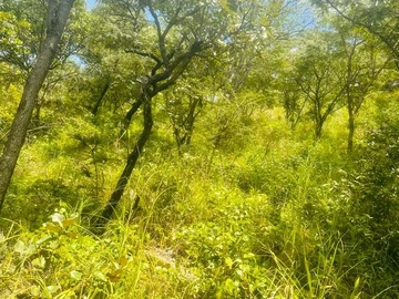 3 Bedroom Townhouse Complex