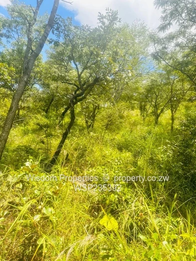 Property land at top of hill