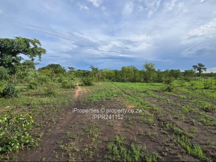 Choice of 3 Commercial Stands in Kadoma