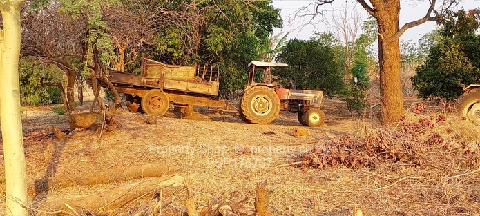 Excellent Farming Opportunity