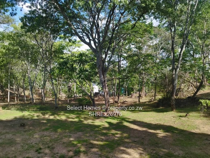 Greystone Park Double Storey House 