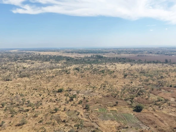 Farm & Agricultural Land