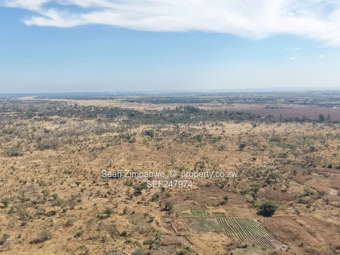 50ha Plot After Norton Toll Gate – pa 50 (Sole Mandate)