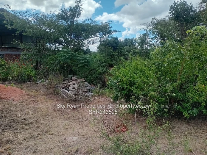 Msasa Industrial Stand For Sale