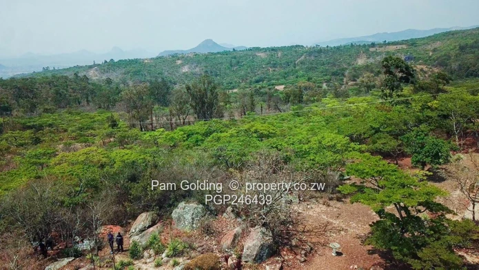 Stands In Nyanga At Nyamazi River For Sale