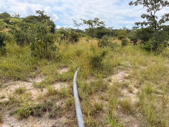 Farm & Agricultural Land