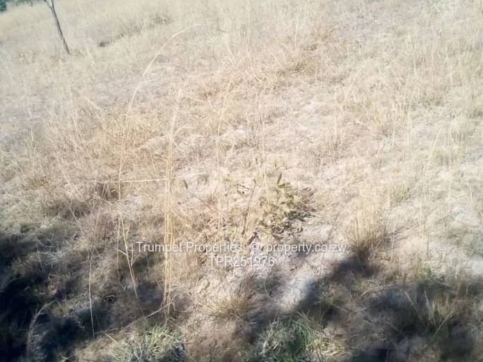 10ha Kwekwe  Farm — Gravel Tracks & Arable Land