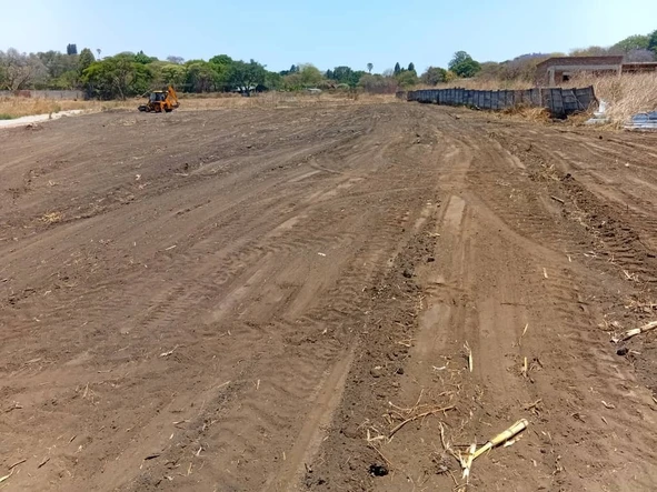 Stands & Residential Land