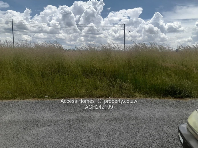 Nyabira Rosewood Park 