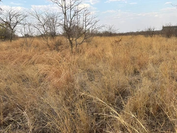 Commercial & Industrial Land