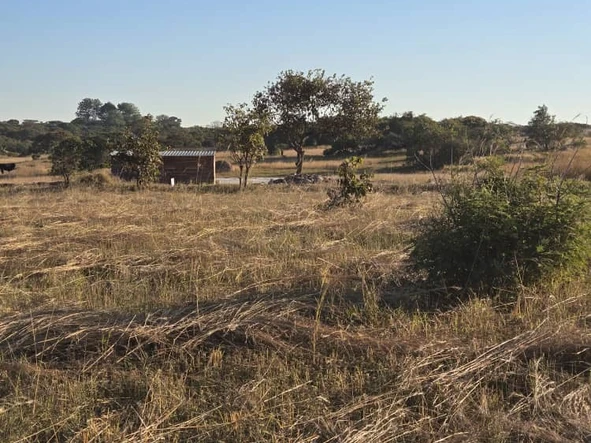 Stands & Residential Land