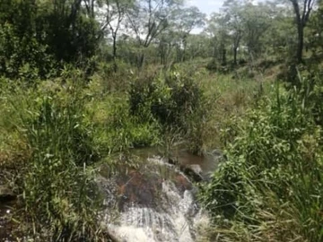 Your Dream Agricultural Oasis in Goromonzi – 10,000 m² Awaits!