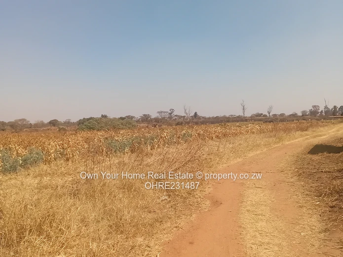 Mount Hampden Plot For Sale 