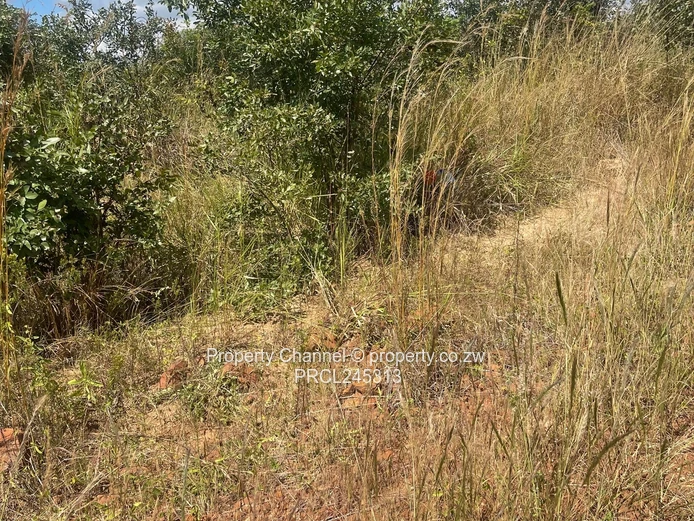 1200sqm in Luna Estate, Nyabira (Sole Mandate)