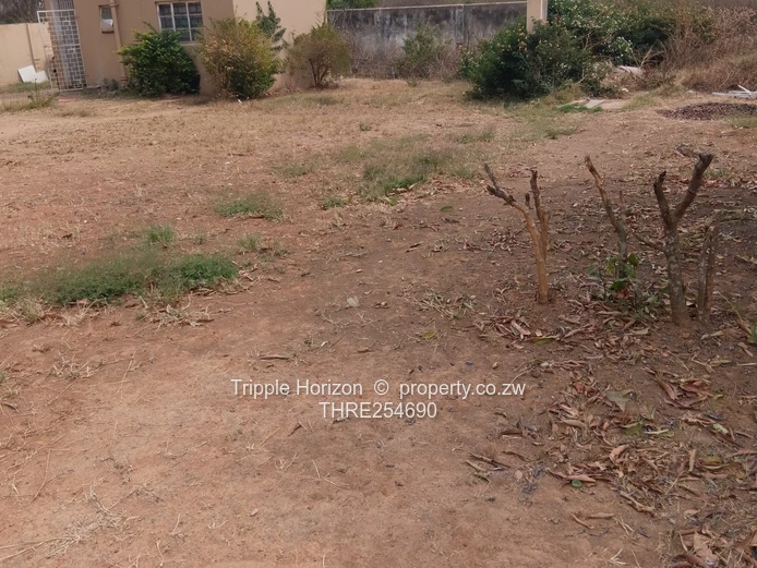 2060 sqm Prospect Stand — Main Road Frontage, Outbuilding