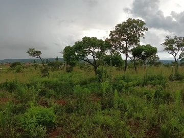 Land