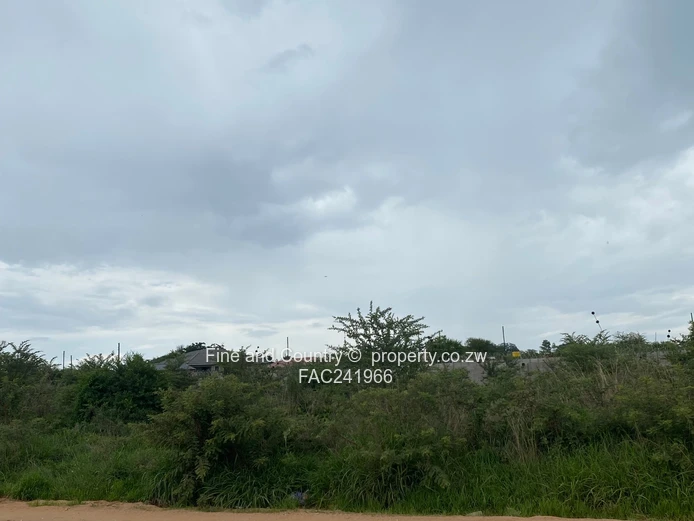 Esigodini/ Umzingwane Stand in Medium Stands-Fernspruit