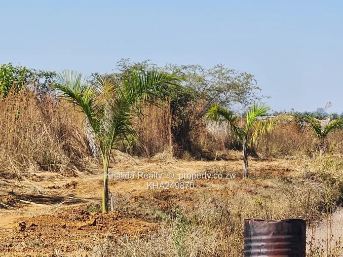 Stands For Sale – Haydon, Shineplus Park, Harare