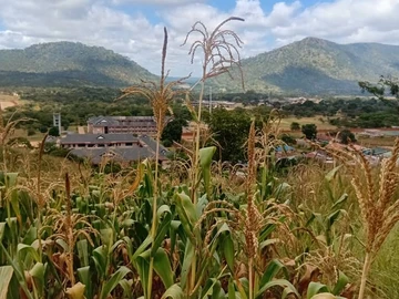 Commercial & Industrial Land