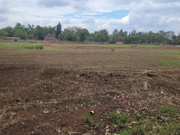 Stands & Residential Land