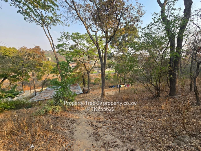 Limitless Possibilities, Enterprise Road Frontage 