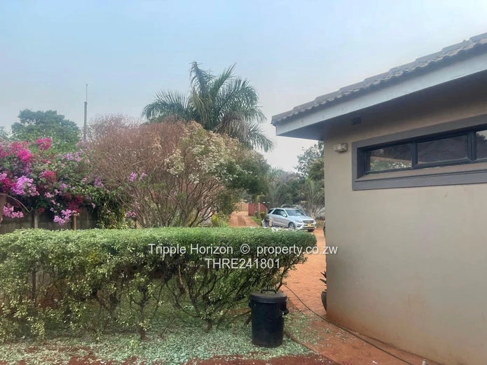 Borrowdale- Sam Levy