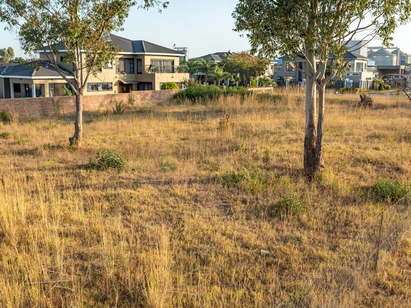 Stands & Residential Land