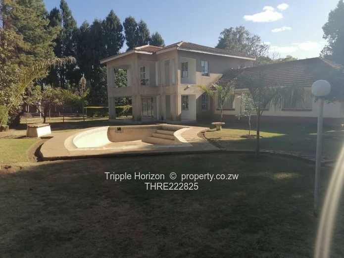 Massive Investment Opportunity 