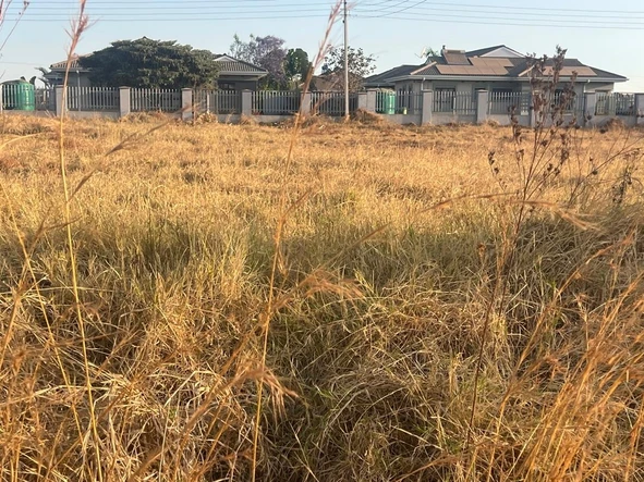 Stands & Residential Land