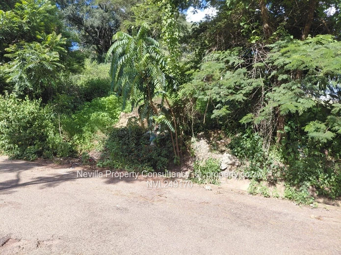 Glen Lorne (Mother Care area)
