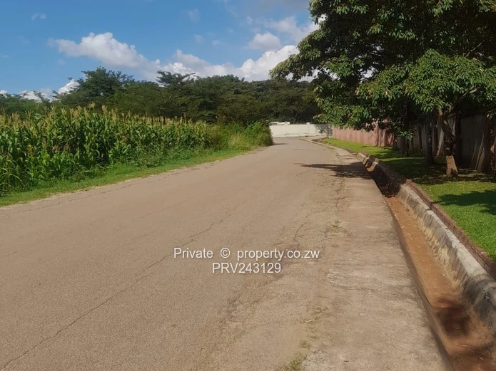 Bluffhill Stand For Sale