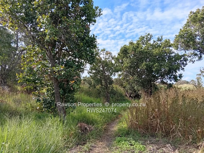 Agroplot for Sale in Ruwa