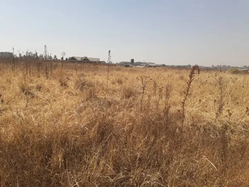 Stands & Residential Land