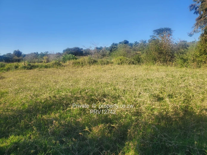2 options available is a 5ha MARONDERA FARM PLOTS  FOR SALE and 2.Nyazura Farm 51ha size (Sole Mandate)