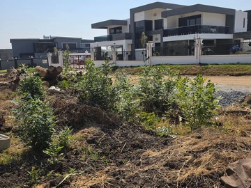 Stands & Residential Land