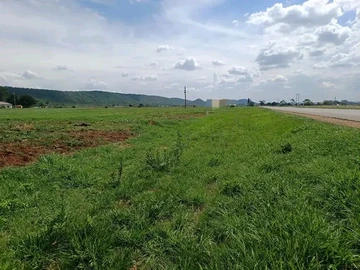 Farm & Agricultural Land