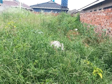 320m² Land in Aspindale Park, Harare with Borehole for Sale