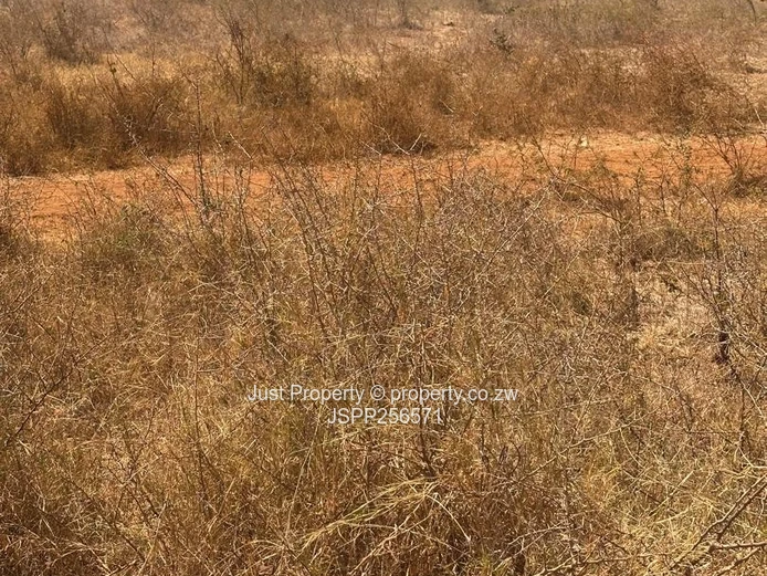 AGRO-RESIDENTIAL PLOTS FOR SALE-group buying opportunity awaits