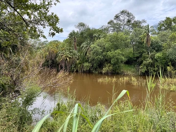 Farm & Agricultural Land