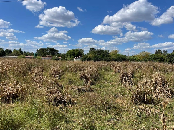 Stands & Residential Land